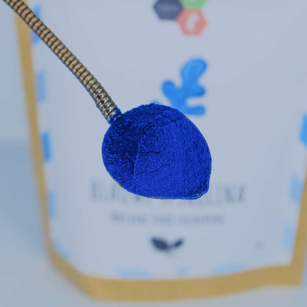 blue-spirulina-poeder